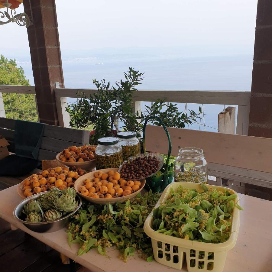 Mary'S Garden Villa Tulisevica Eksteriør billede