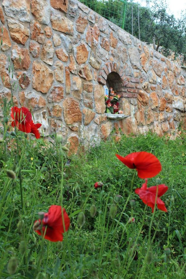 Mary'S Garden Villa Tulisevica Eksteriør billede